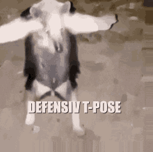 T Pose T Pose Meme GIF - T Pose T Pose Meme Defensiv - Discover & Share GIFs