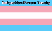 Trans Transgender GIF - Trans Transgender Transformer GIFs