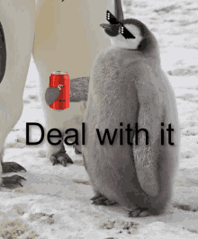 Penguin Deal With It GIF - Penguin Deal With It Cool GIFs