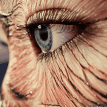 Eye Art GIF - Eye Art GIFs