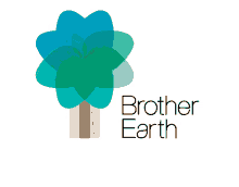 brother at your side brother earth appliances machine logo