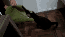 Black Cat GIF - Black Cat Shoyu GIFs