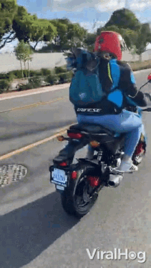 Riding Bike With Dog Viralhog GIF - Riding Bike With Dog Viralhog Enjoying Riding Bike With Dog GIFs