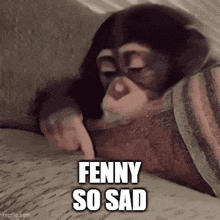 a chimpanzee is pointing at something with the words fenny so sad written on it .