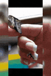 a woman holding a butterfly on her finger