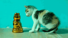 招财猫 猫 猫咪 点头 GIF - Fortune Cat Lucky Cat Kitten GIFs