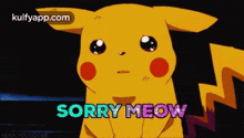 sorry meow sorry guilty pokemon mannikkavum