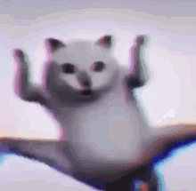 gato cat dance dan%C3%A7a cute