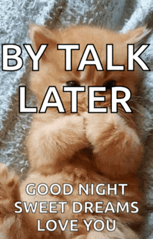 a picture of a kitten with the words by talk later good night sweet dreams love you on it