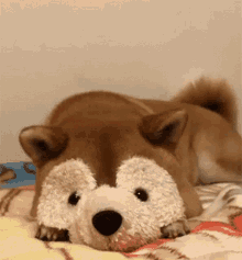 Cute Adorable GIF - Cute Adorable Dog GIFs