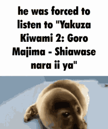Kiwami2 Majima GIF - Kiwami2 Majima Crying Seal GIFs