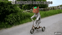 Badpoll Badkey GIF - Badpoll Badkey Bad Fox GIFs