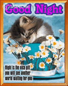 Good Night Im Waiting For You GIF - Good Night Im Waiting For You शुभरात्रि GIFs