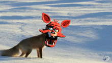 a fox with a red foxy mask on its head