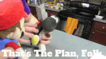 a person is holding a stuffed animal with the words that 's the plan folk below it