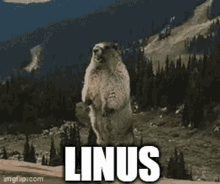a groundhog standing on its hind legs with the word linus written on the bottom