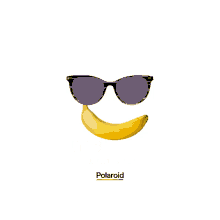 polaroid sunglasses
