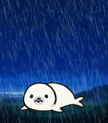 Sad Seal Cry Cute Seal Crying GIF - Sad Seal Cry Cute Seal Crying Cute Seal GIFs