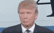 Donald Trump What GIF - Donald Trump What Huh GIFs