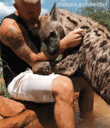 Petting A Hyena Dean Schneider GIF - Petting A Hyena Dean Schneider Dean Schneider Vlogs GIFs