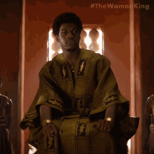 What King Ghezo GIF - What King Ghezo The Woman King GIFs