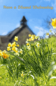 Blessed Wednesday Daffodils GIF - Blessed Wednesday Daffodils Church GIFs