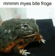 Bite Froge Mmmm Myes Bite Froge GIF - Bite Froge Mmmm Myes Bite Froge Frog GIFs