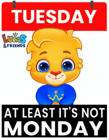 Tuesday Its Tuesday GIF - Tuesday Its Tuesday Happy Tuesday GIFs