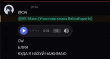 a screenshot of a conversation between @cw and ss-mann
