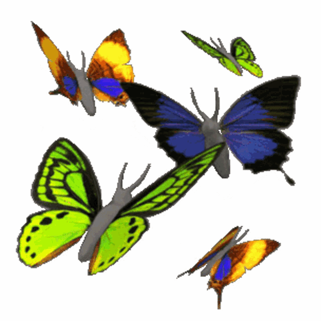Animated Butterfly Flying GIFs | Tenor, image size:640x640