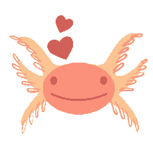 love you axolotl love you axolotl peachalotl peach axolotl