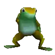 a green and yellow frog is dancing on its hind legs .