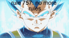 Rule757 Dragon Ball Rules GIF