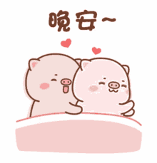 Couple Cute GIF - Couple Cute Sleep GIFs
