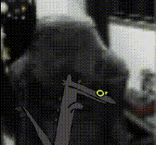 a black and white photo of a person 's face with a yellow eye