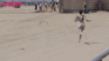 Chasing Bird Sand GIF - Chasing Bird Sand Beach GIFs