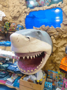 Shark GIF - Shark GIFs
