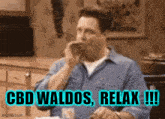 Waldos Waldose GIF