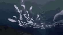 Blackblood Whale GIF - Blackblood Whale Rokwhale GIFs