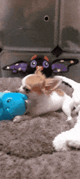 Puppy Chihuahua GIF - Puppy Chihuahua Toy GIFs