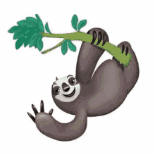 Sloth Hanging GIF