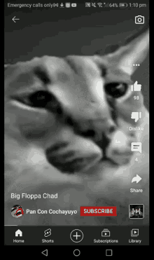 Floppa Chad GIF - Floppa Chad GIFs