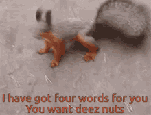 squirrel i have got words for you you want deez nuts