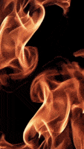 a close up of a flame on a black background