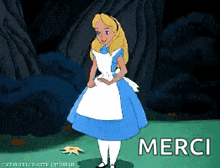 a cartoon of alice from alice in wonderland standing in a field with the word merci written below her