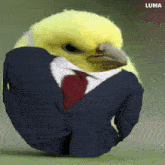 a yellow bird in a suit and tie with luma written on the bottom right
