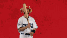 Baseball Somd GIF - Baseball Somd Blue Crabs GIFs