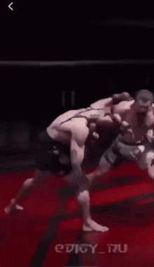 two men are fighting in a boxing ring with the words edigy_ru on the bottom right