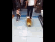 a woman and child are walking a dog down a tiled floor