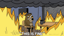 This Is Fine Chicago Bears GIF - This Is Fine Chicago Bears Bears GIFs